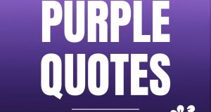 Purple Quotes